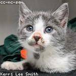 Keith Spencer Profile Picture